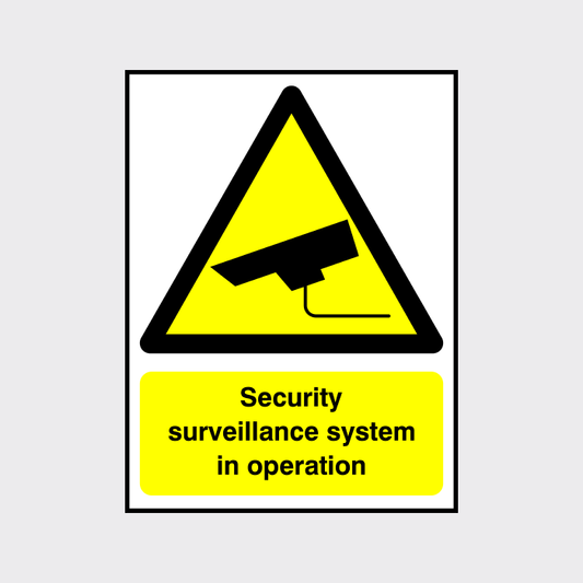 Security surveillane system in operation