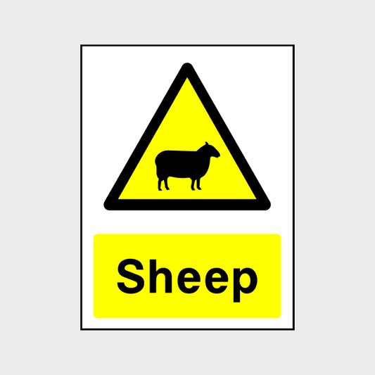 Warning! Sheep Sign